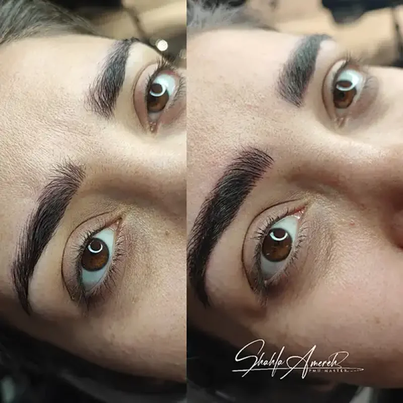 InShot_20251116_012341621